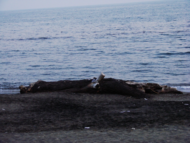 dopo l'' Ostia di Aldo e l'' Ostia di Sarah, la mia Ostia